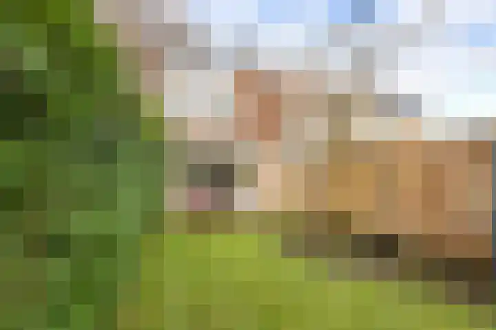 Mudaheerd 115 Groningen thumbnail 33