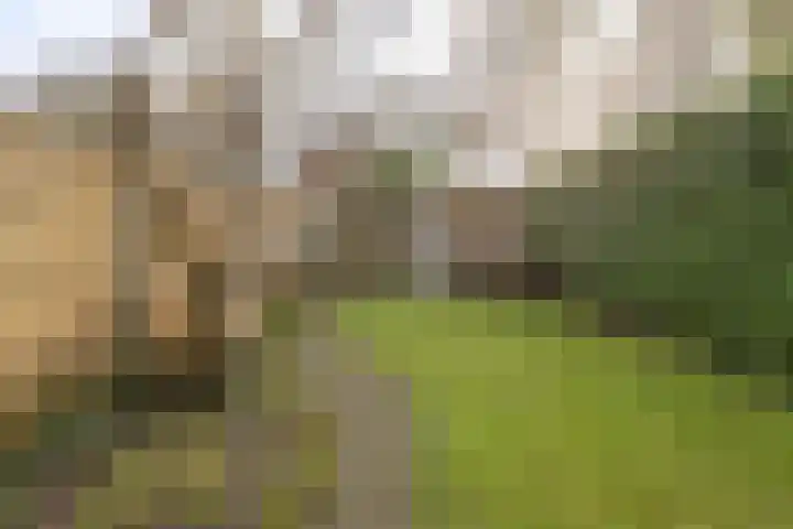 Mudaheerd 115 Groningen thumbnail 34