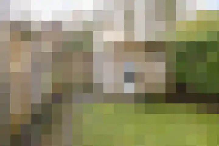 Mudaheerd 115 Groningen thumbnail 35