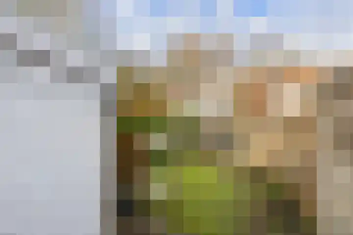 Mudaheerd 115 Groningen thumbnail 36