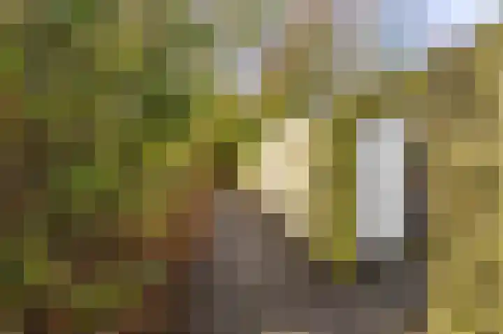 Mudaheerd 115 Groningen thumbnail 37