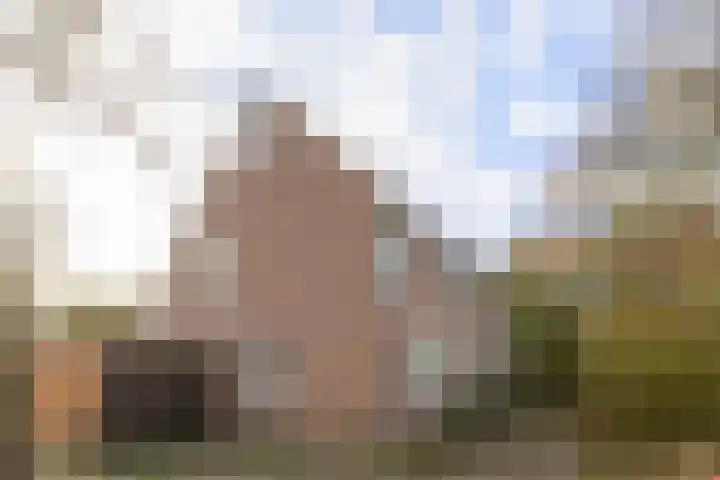 Mudaheerd 115 Groningen thumbnail 4
