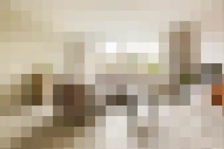Mudaheerd 115 Groningen thumbnail 7