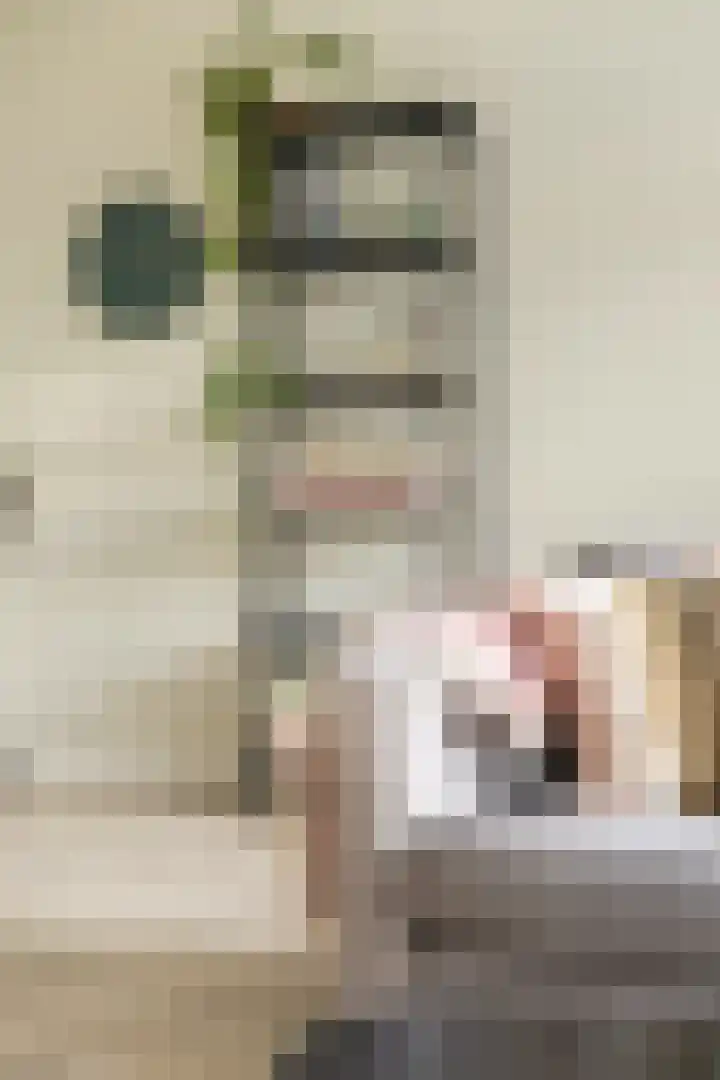 Mudaheerd 115 Groningen thumbnail 9