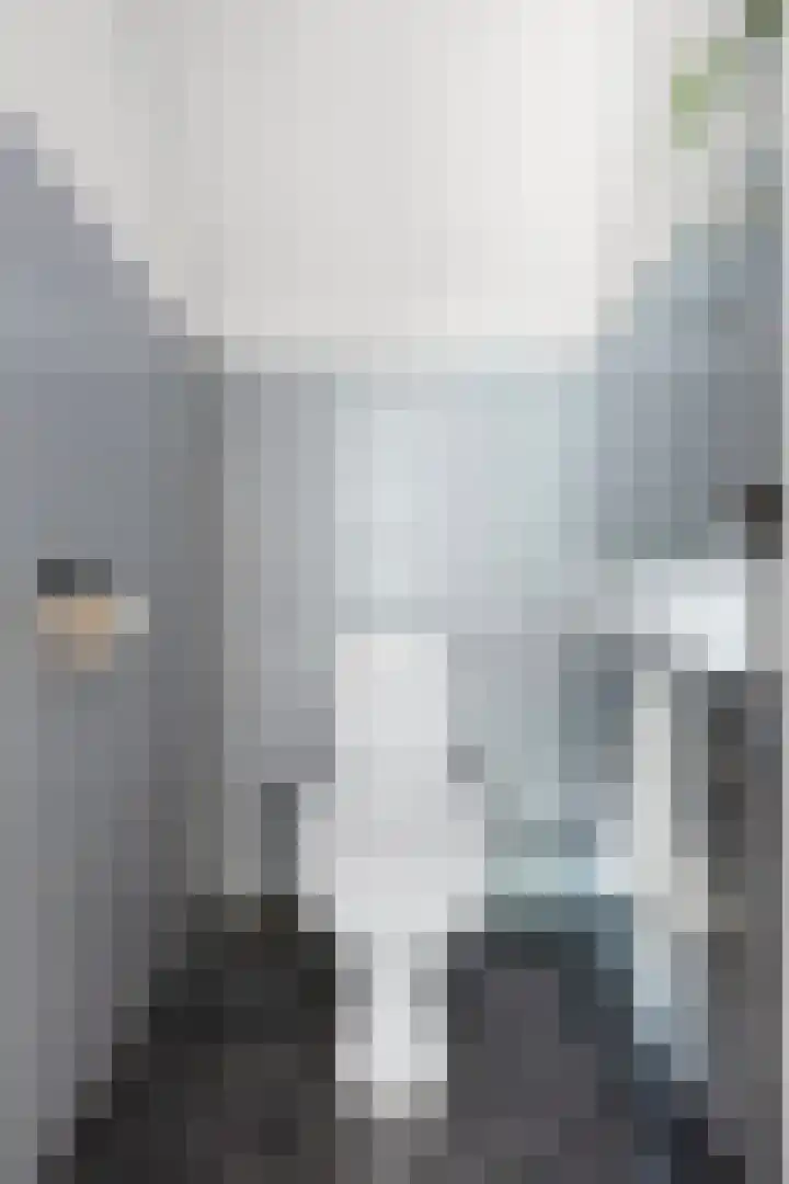 Mudaheerd 12 Groningen thumbnail 18