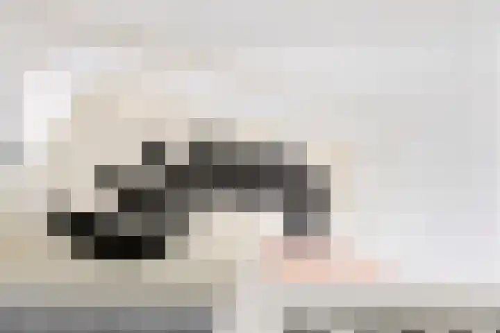 Mudaheerd 12 Groningen thumbnail 19