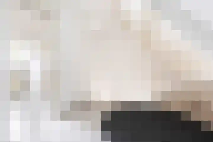 Mudaheerd 12 Groningen thumbnail 20