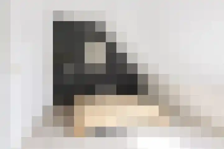 Mudaheerd 12 Groningen thumbnail 22