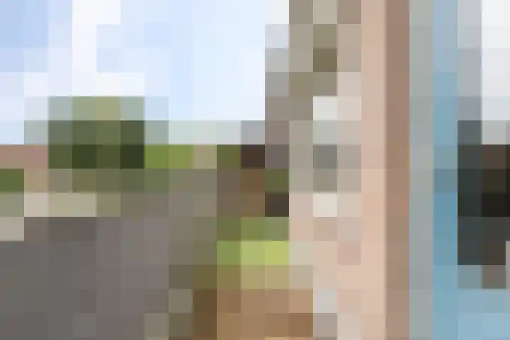 Mudaheerd 12 Groningen thumbnail 24