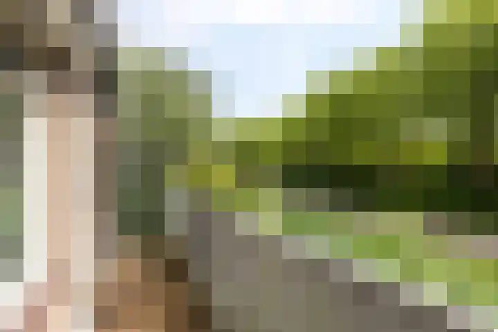 Mudaheerd 12 Groningen thumbnail 25