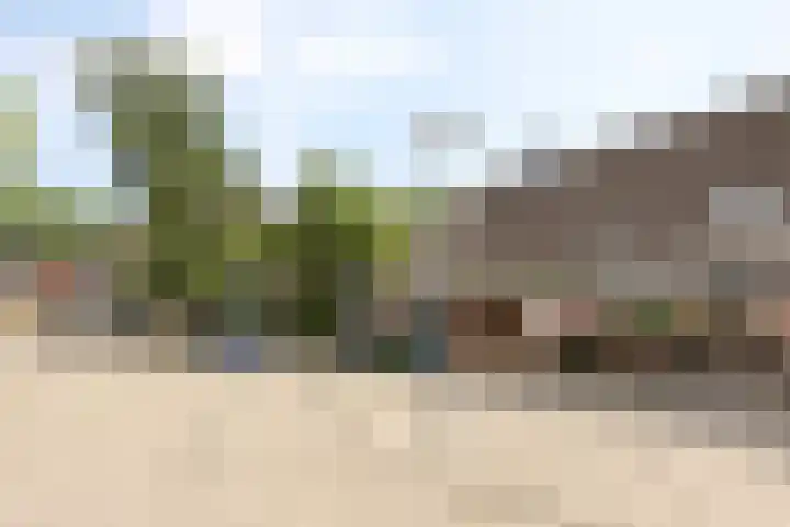 Mudaheerd 12 Groningen thumbnail 27