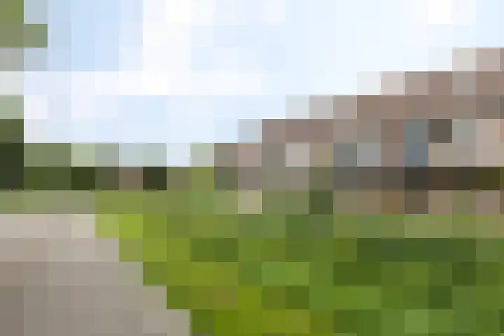 Mudaheerd 12 Groningen thumbnail 29