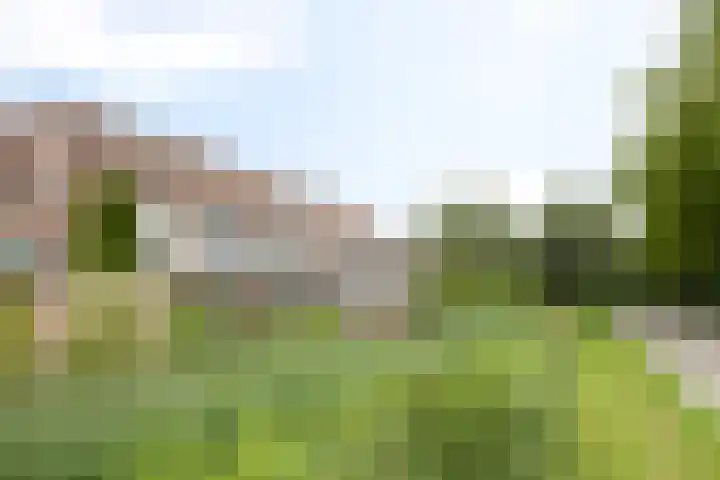 Mudaheerd 12 Groningen thumbnail 30
