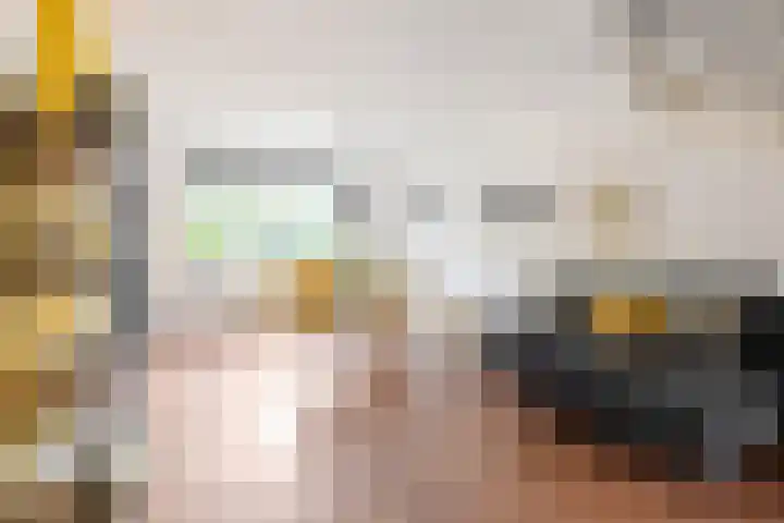 Mudaheerd 12 Groningen thumbnail 8