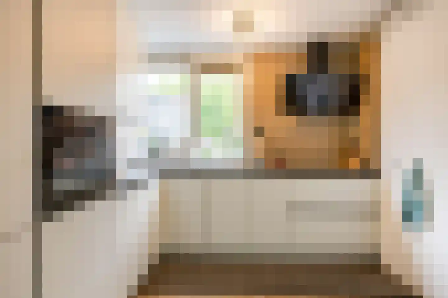 Mudaheerd 128 Groningen thumbnail 12