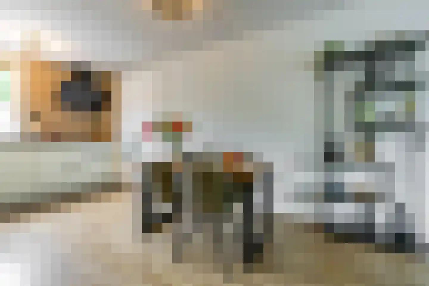 Mudaheerd 128 Groningen thumbnail 16