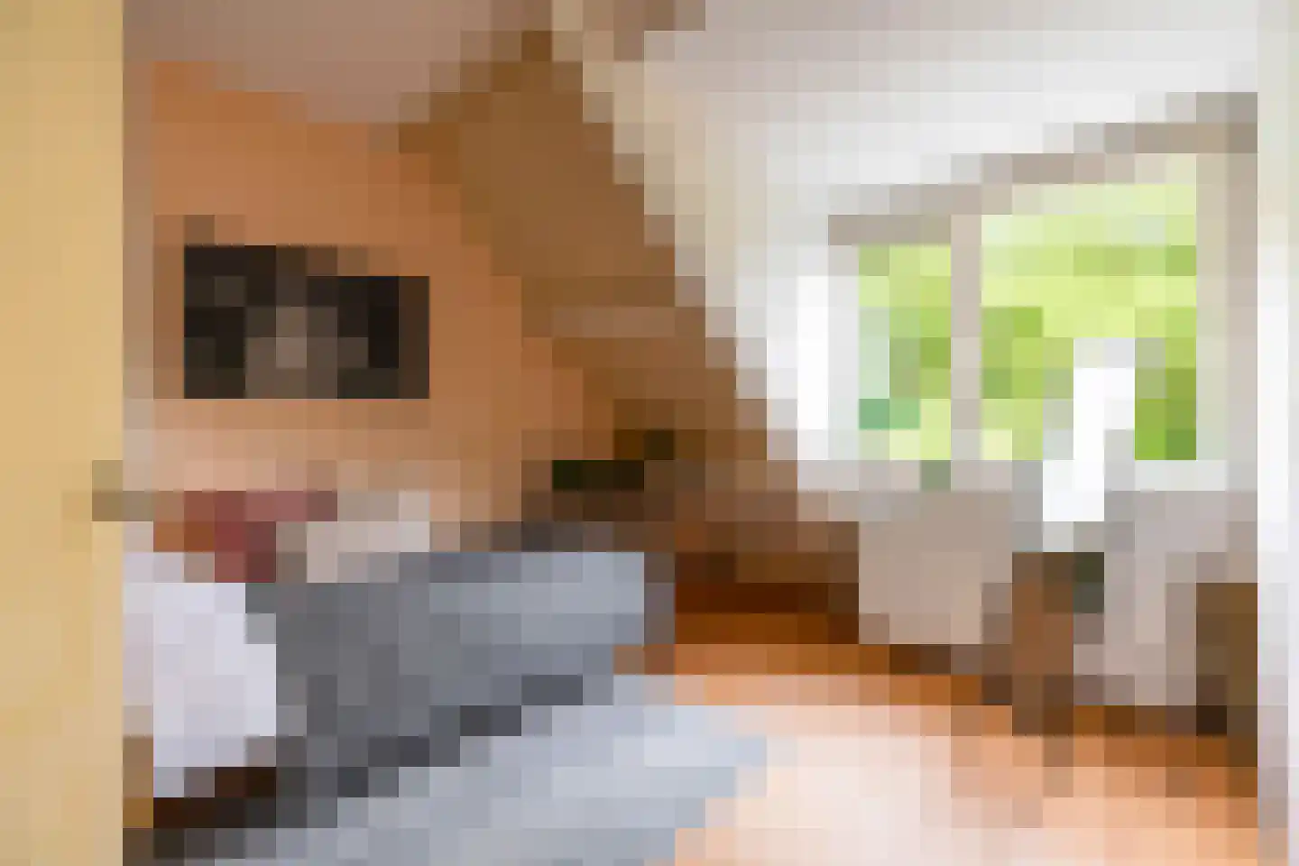 Mudaheerd 128 Groningen thumbnail 18