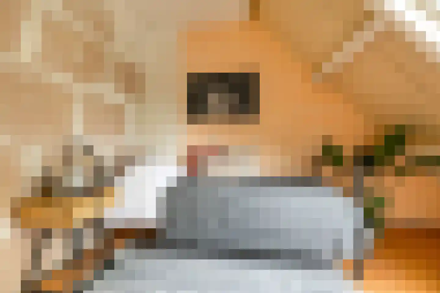 Mudaheerd 128 Groningen thumbnail 19