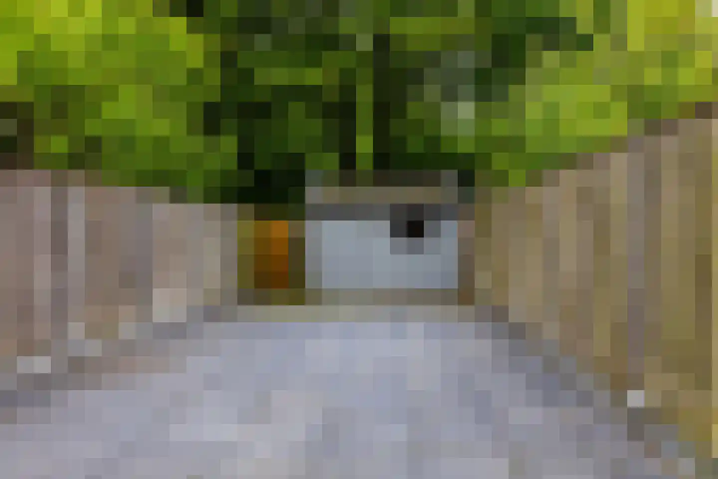 Mudaheerd 128 Groningen thumbnail 28