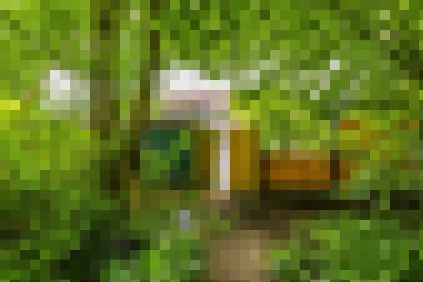 Mudaheerd 128 Groningen thumbnail 30