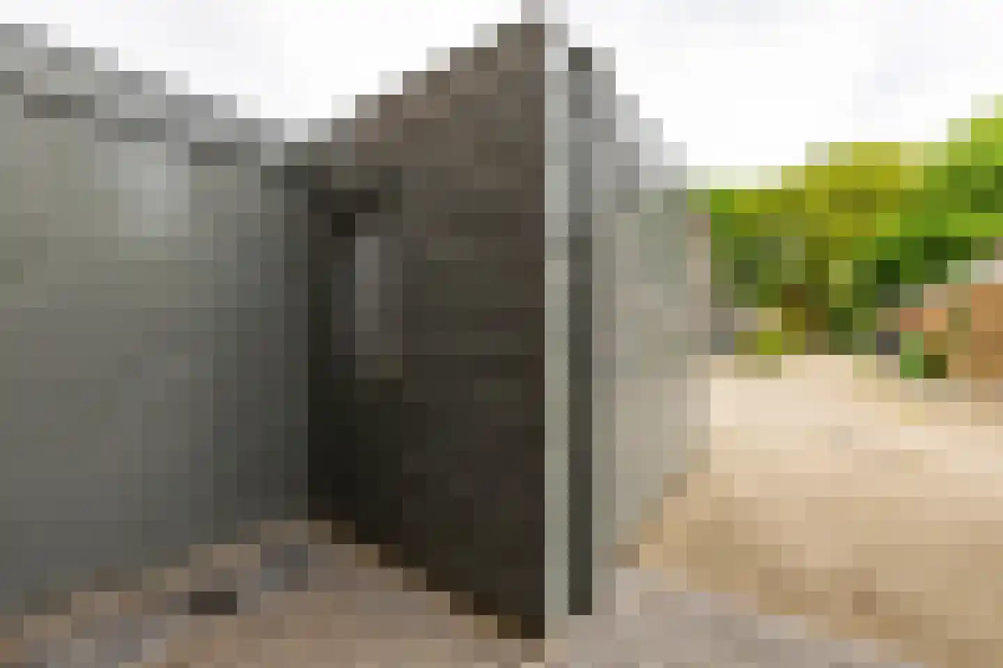 Mudaheerd 128 Groningen thumbnail 32