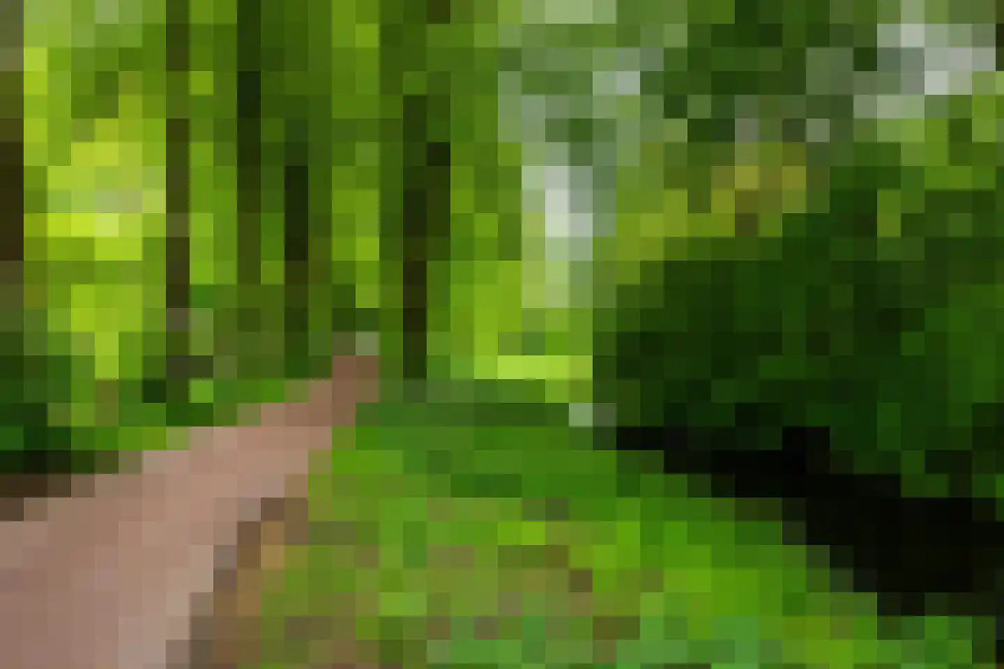 Mudaheerd 128 Groningen thumbnail 37