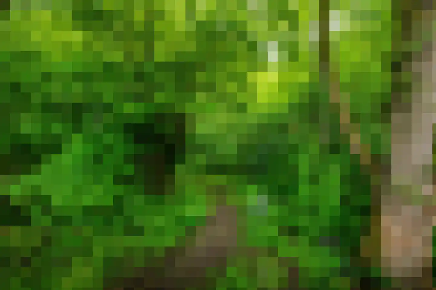 Mudaheerd 128 Groningen thumbnail 38