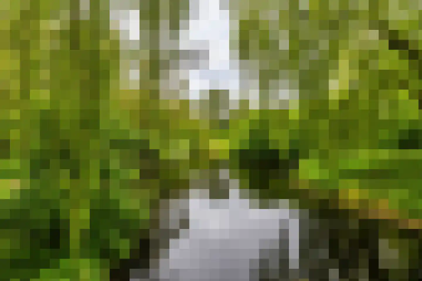 Mudaheerd 128 Groningen thumbnail 39