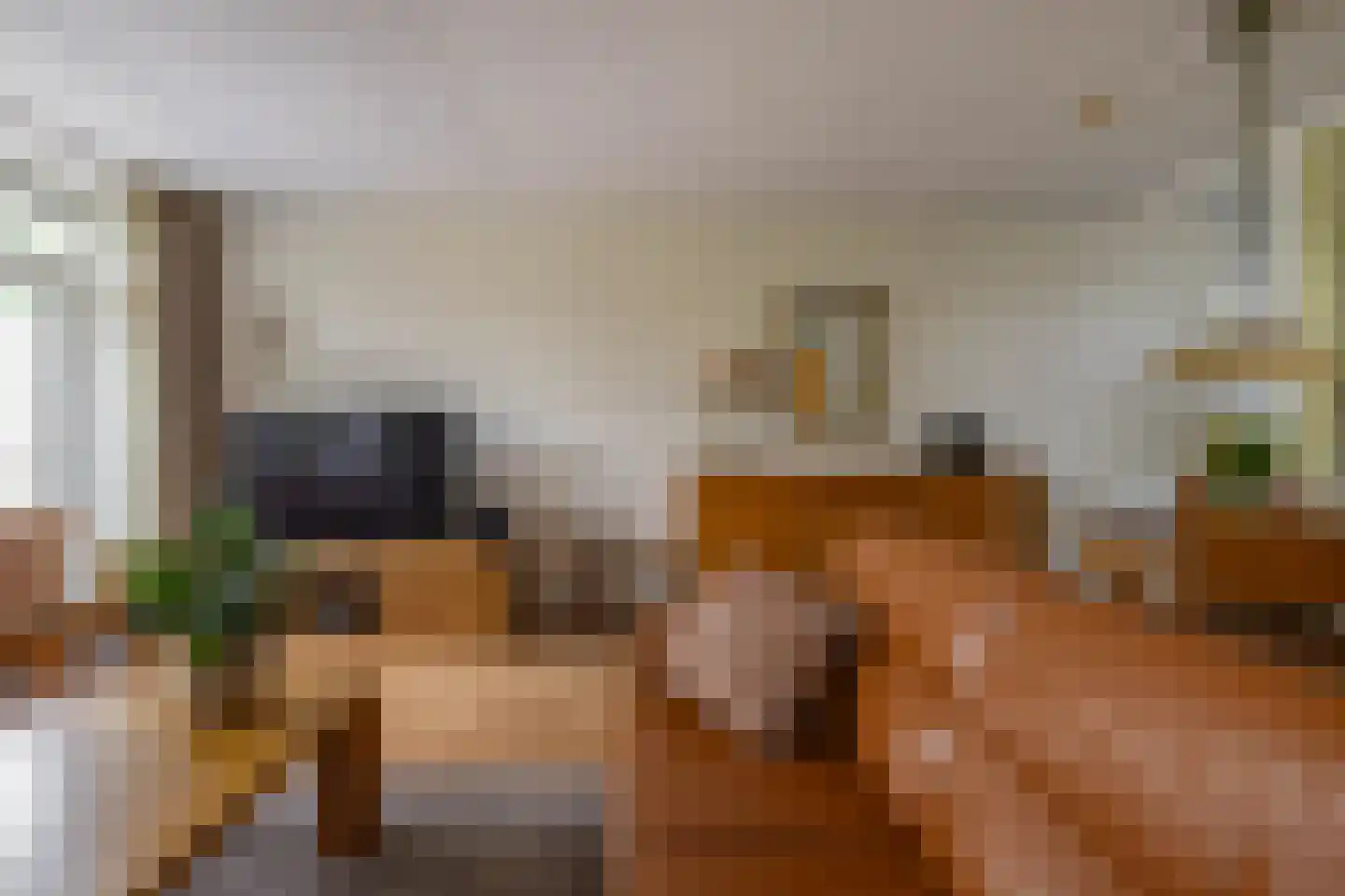 Mudaheerd 144 Groningen thumbnail 11