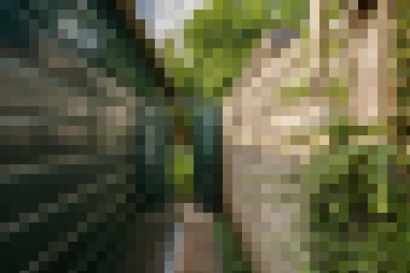 Mudaheerd 144 Groningen thumbnail 13