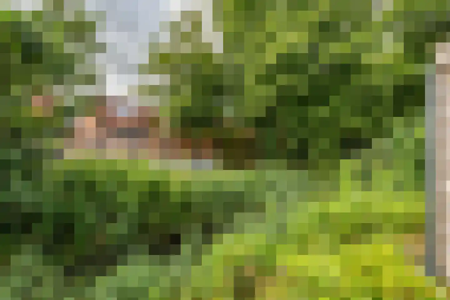 Mudaheerd 144 Groningen thumbnail 14
