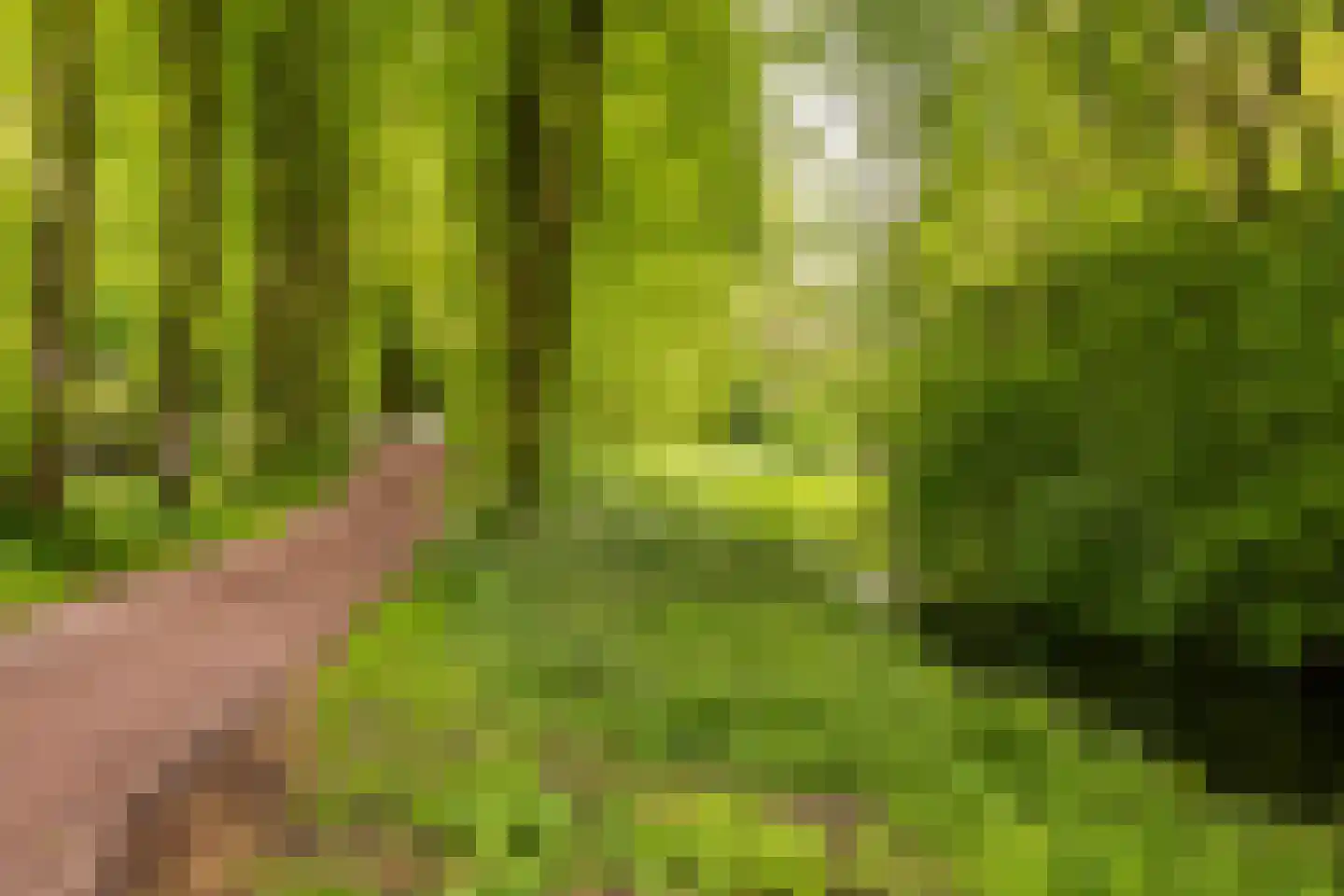 Mudaheerd 144 Groningen thumbnail 42