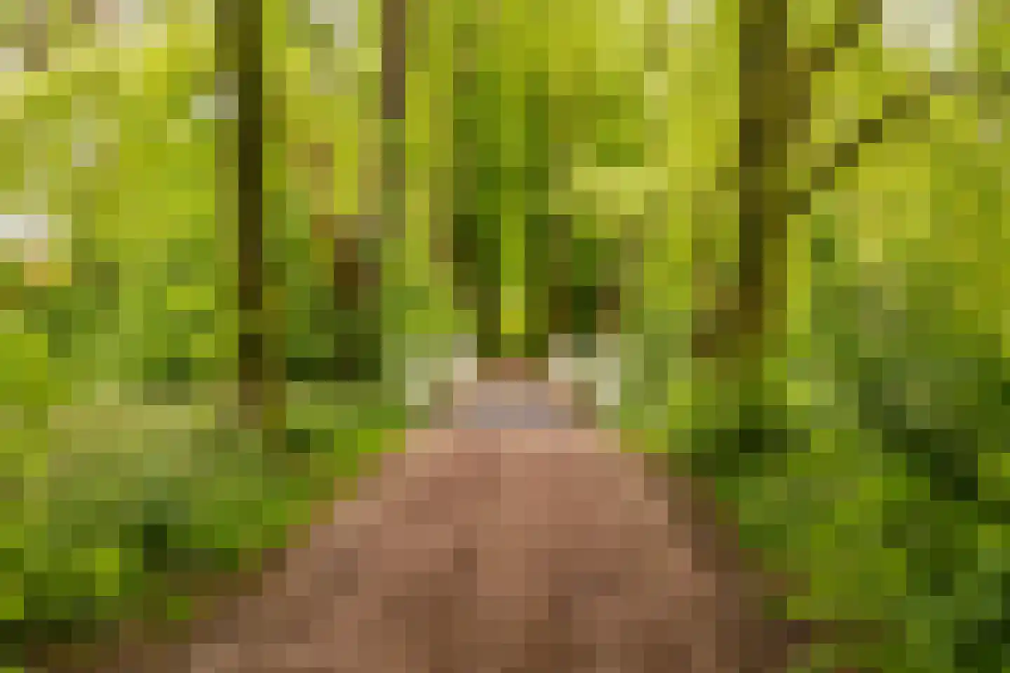 Mudaheerd 144 Groningen thumbnail 43