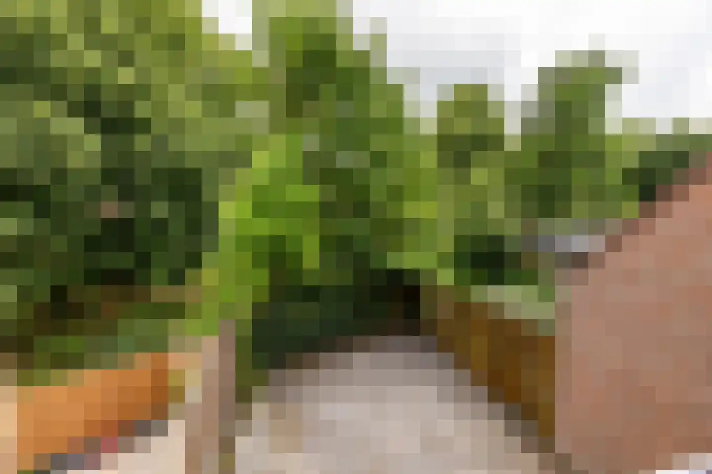 Mudaheerd 146 Groningen thumbnail 16