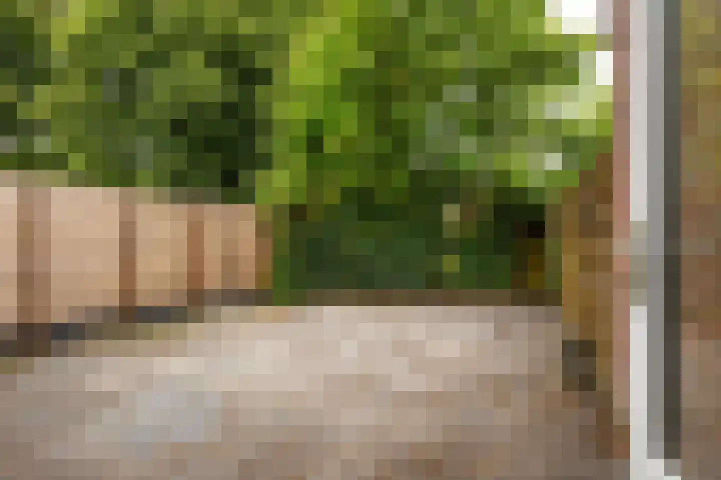 Mudaheerd 146 Groningen thumbnail 26