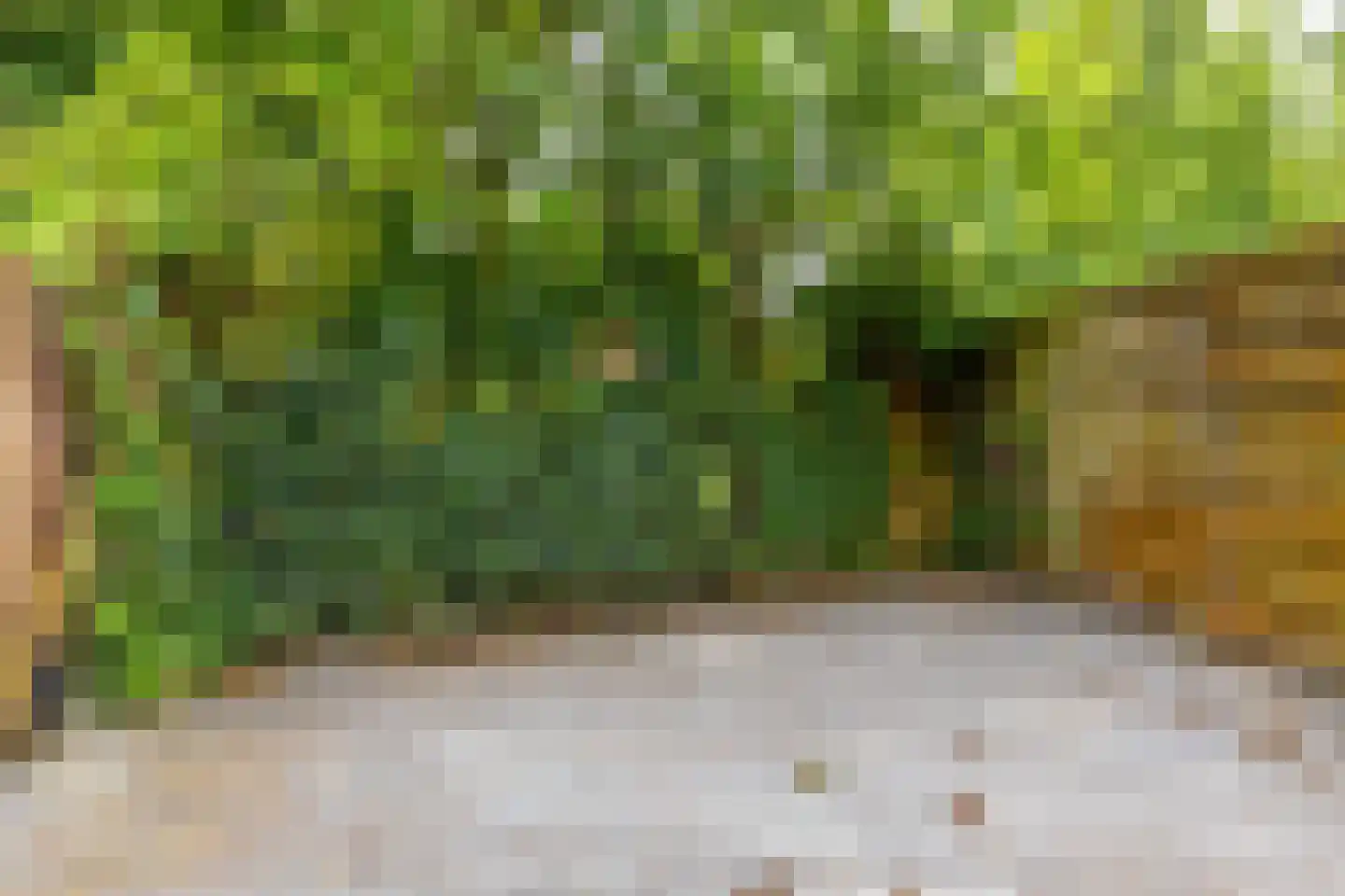Mudaheerd 146 Groningen thumbnail 27