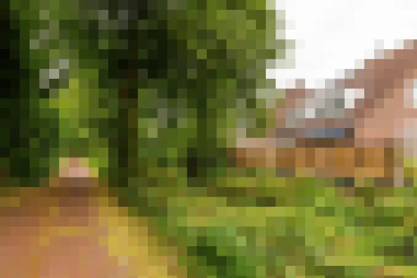Mudaheerd 146 Groningen thumbnail 32