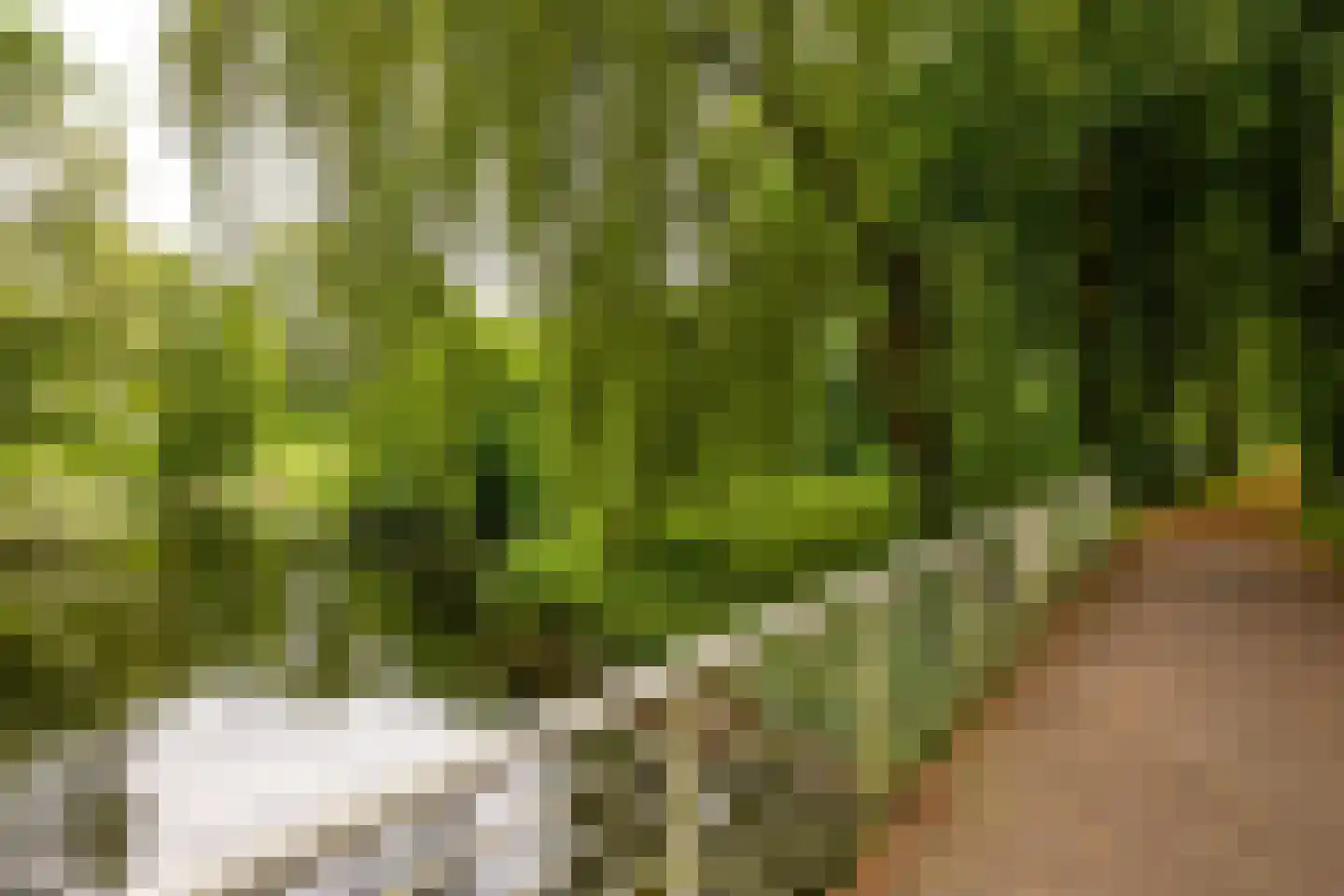 Mudaheerd 146 Groningen thumbnail 33
