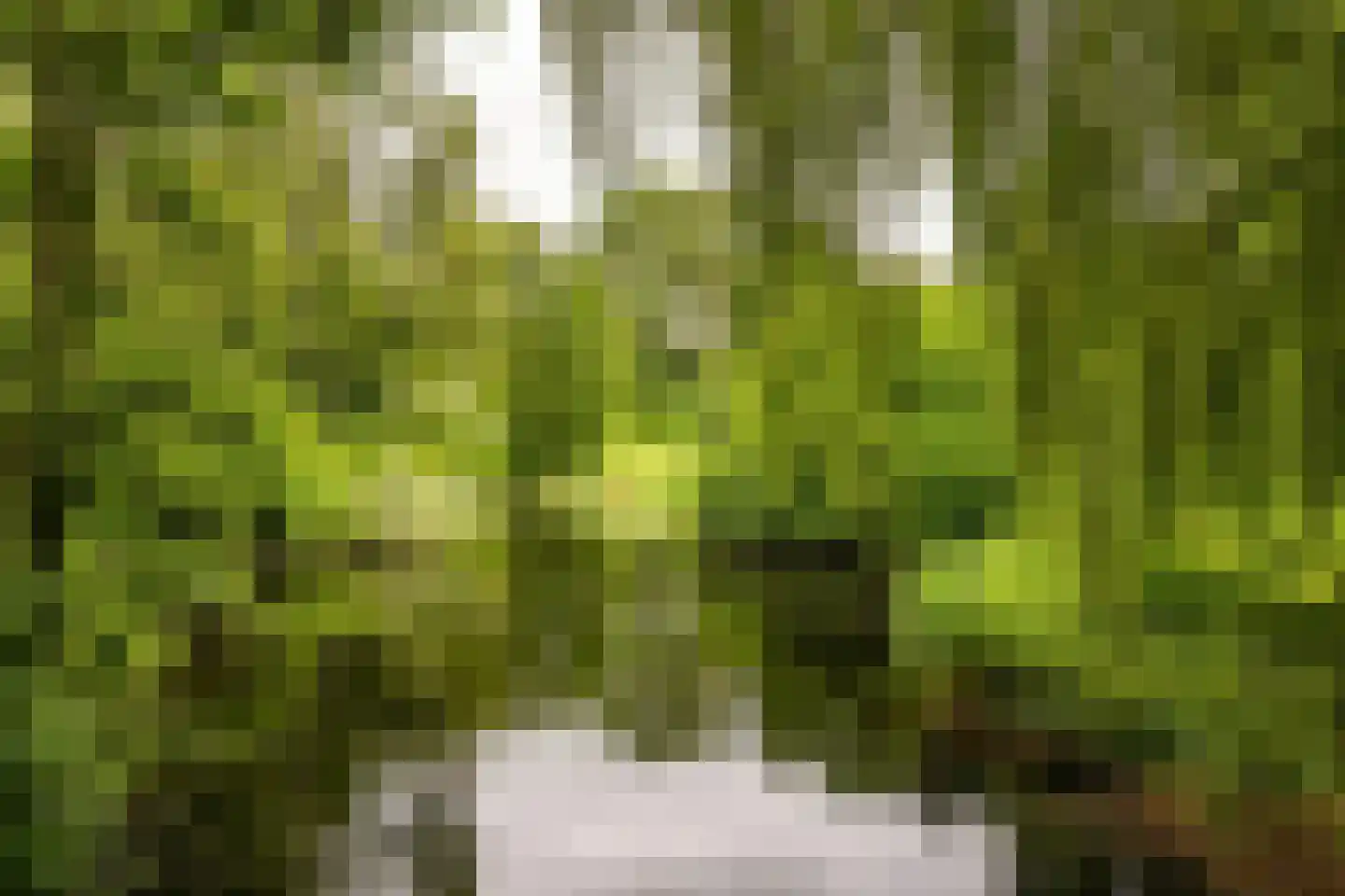 Mudaheerd 146 Groningen thumbnail 34