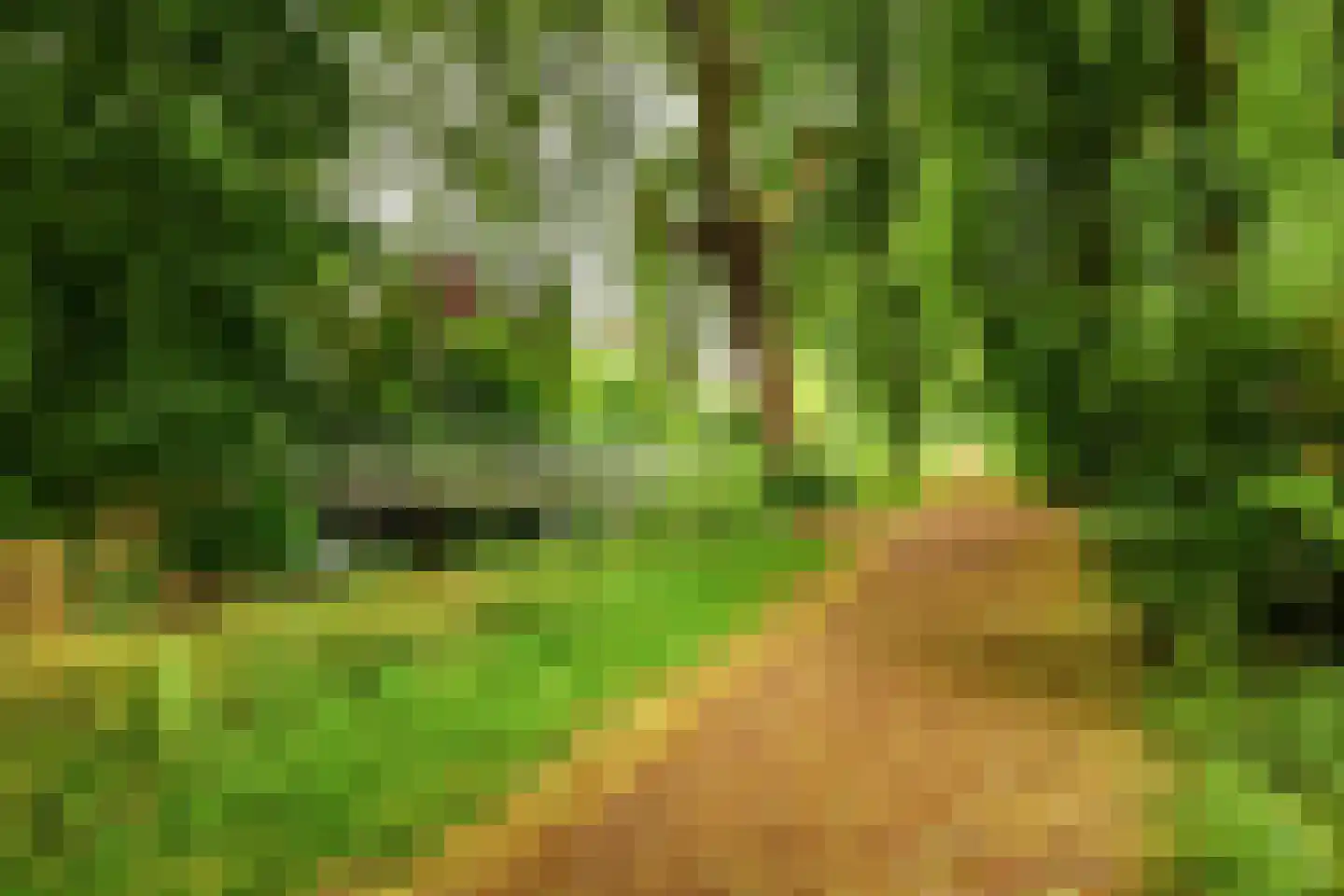 Mudaheerd 146 Groningen thumbnail 35