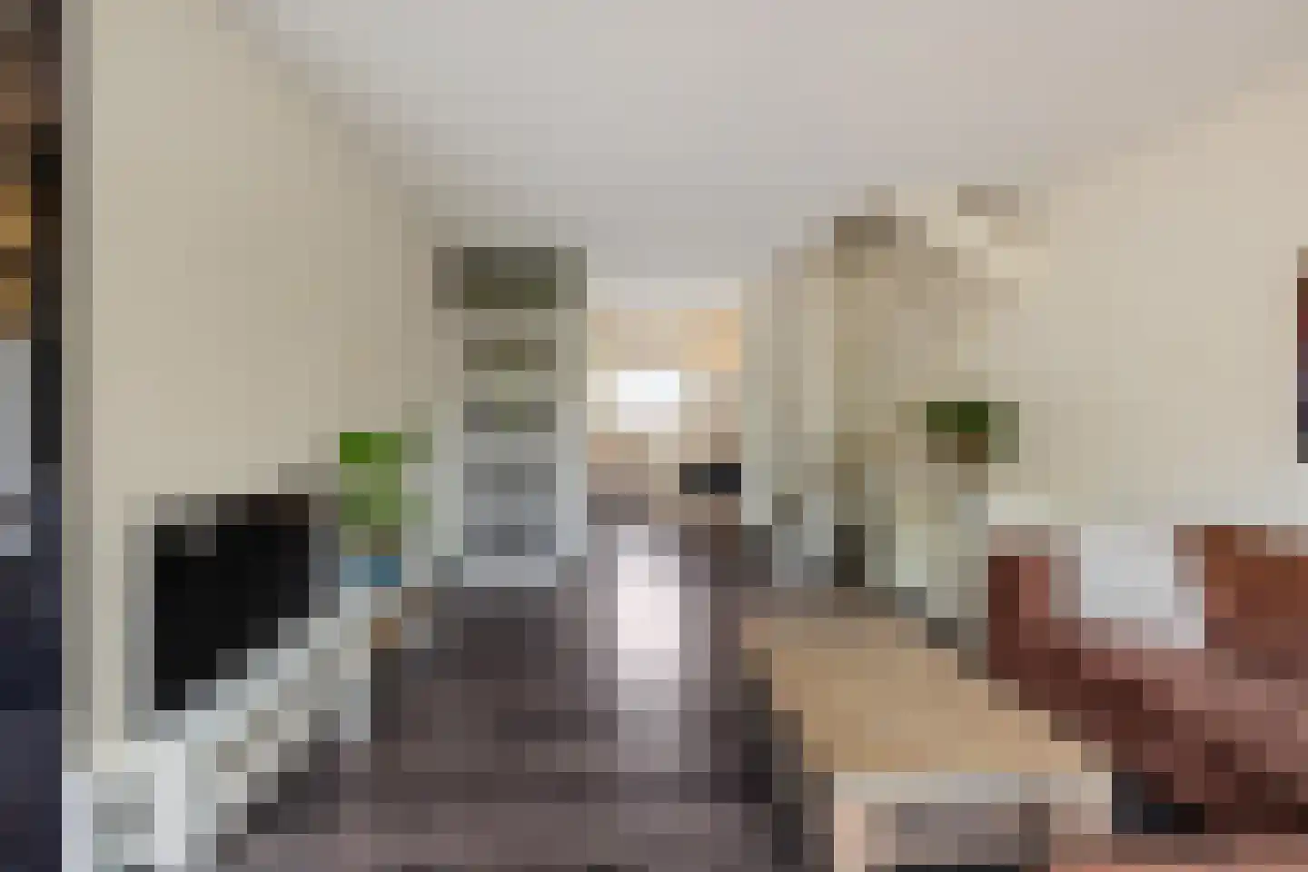 Mudaheerd 2 Groningen thumbnail 12