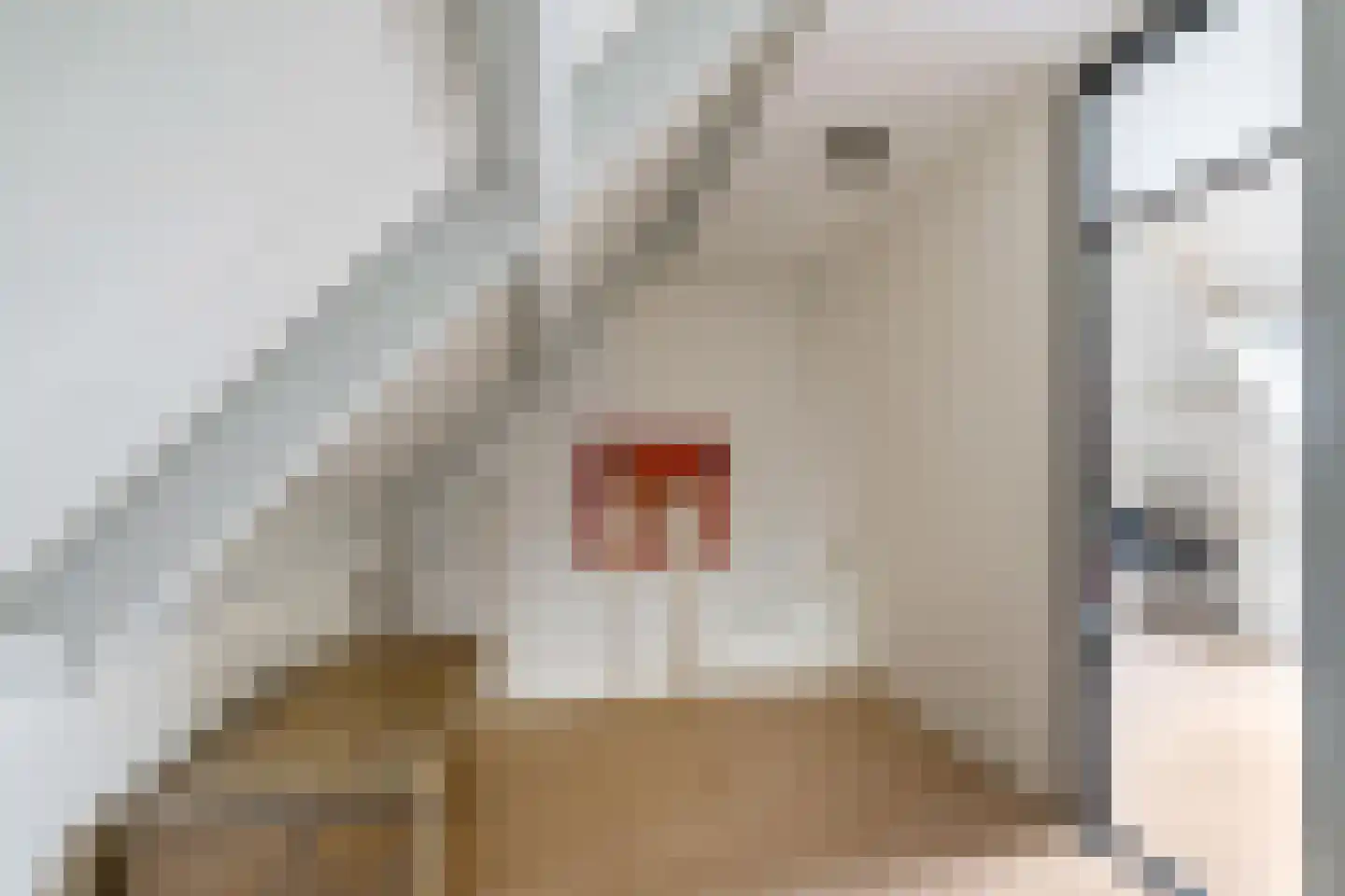 Mudaheerd 2 Groningen thumbnail 18