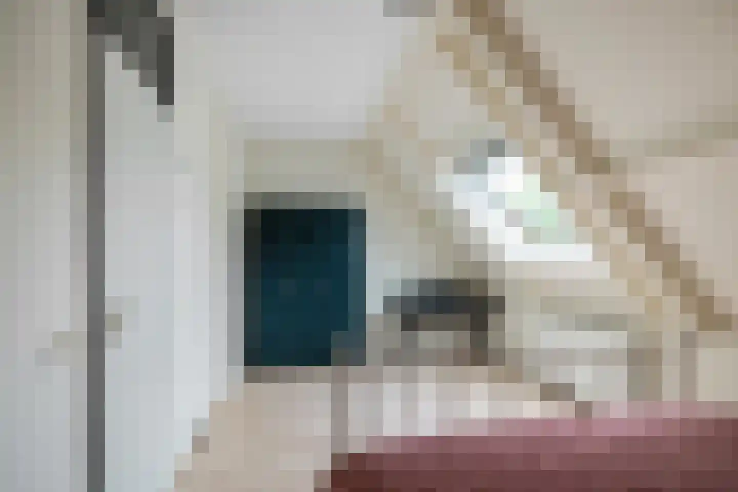Mudaheerd 2 Groningen thumbnail 21
