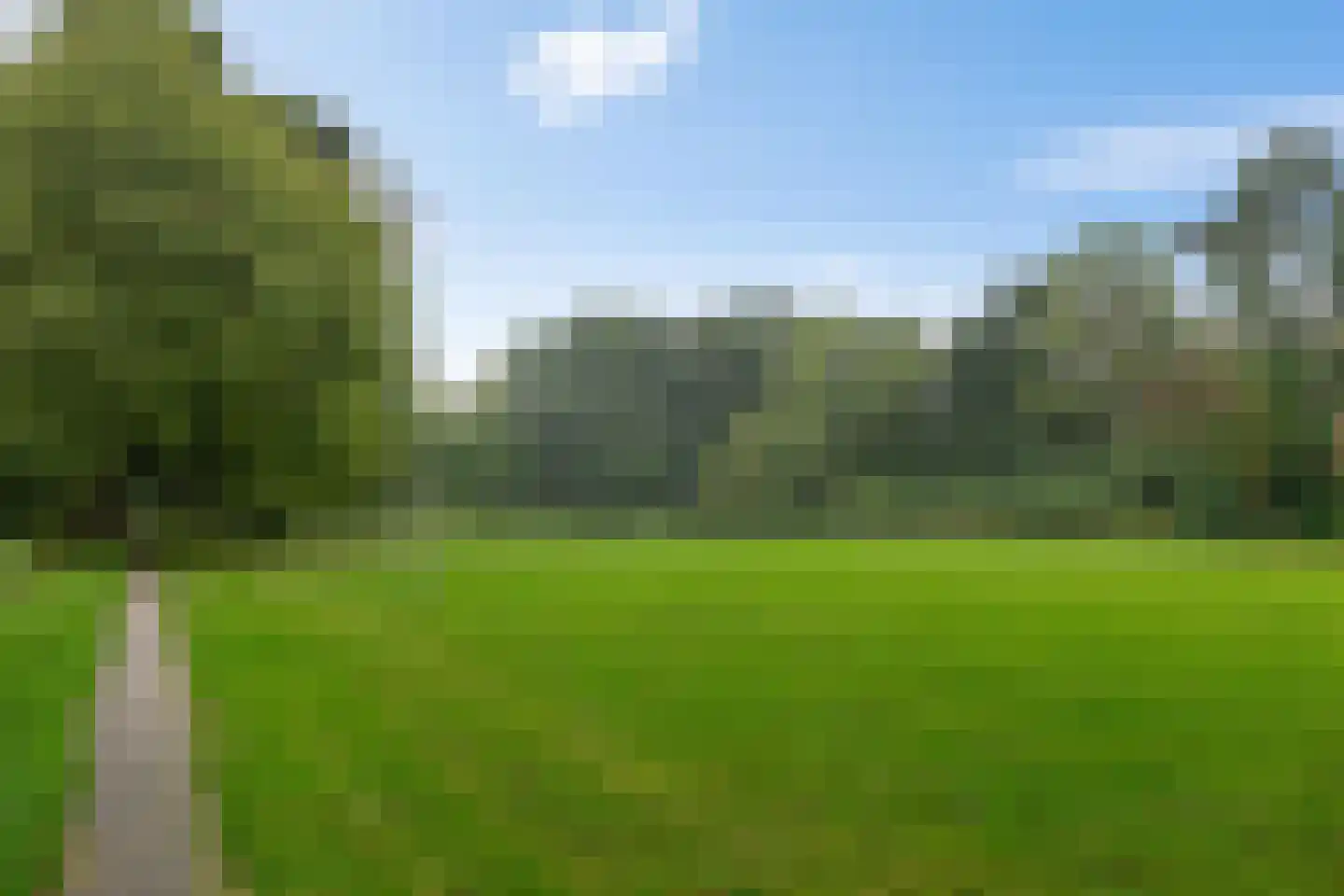 Mudaheerd 2 Groningen thumbnail 29