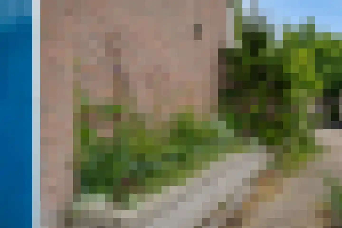 Mudaheerd 2 Groningen thumbnail 6