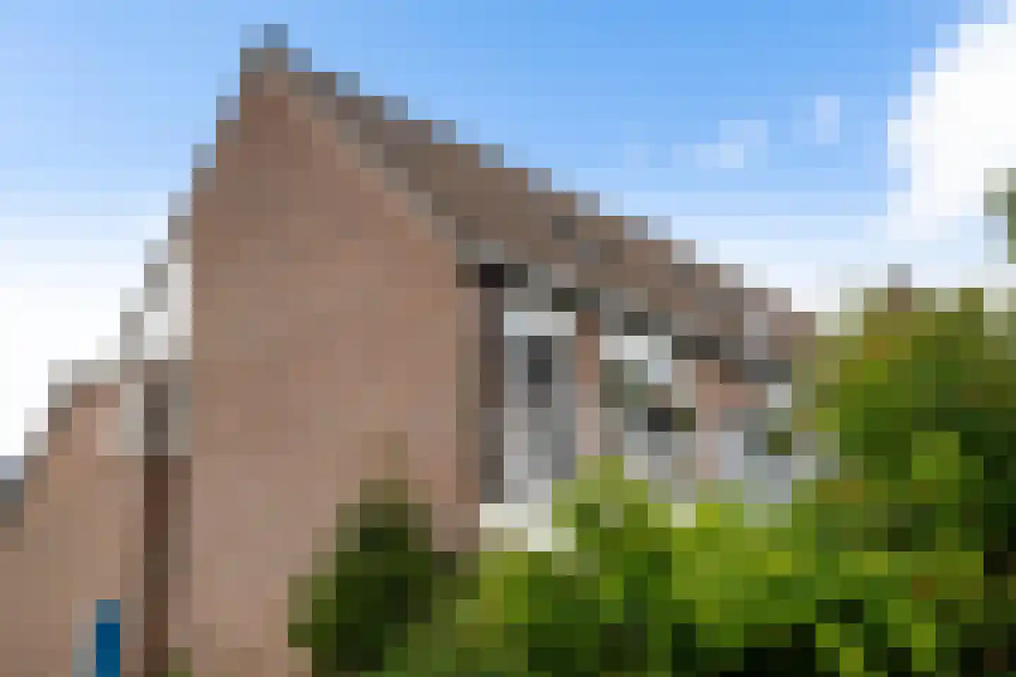 Mudaheerd 2 Groningen thumbnail 7