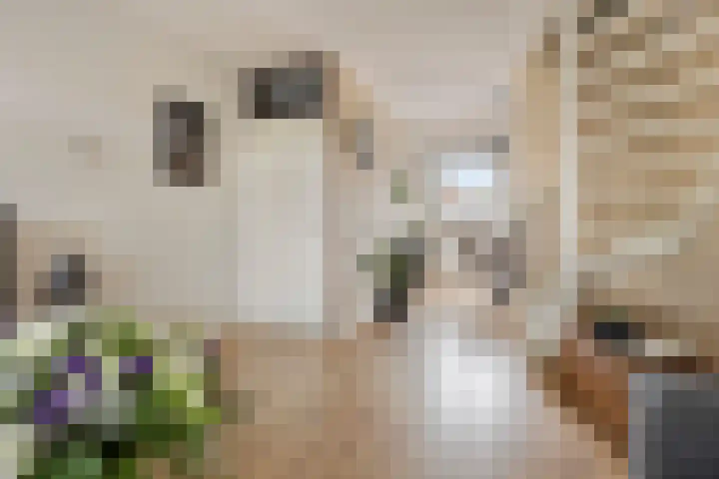 Mudaheerd 44 Groningen thumbnail 14