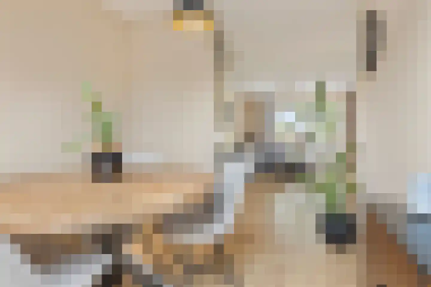 Mudaheerd 44 Groningen thumbnail 16