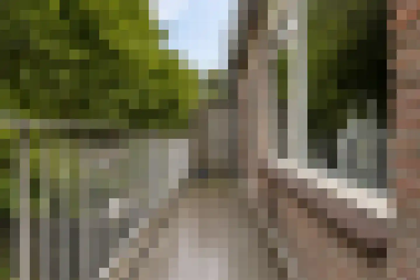 Mudaheerd 44 Groningen thumbnail 22