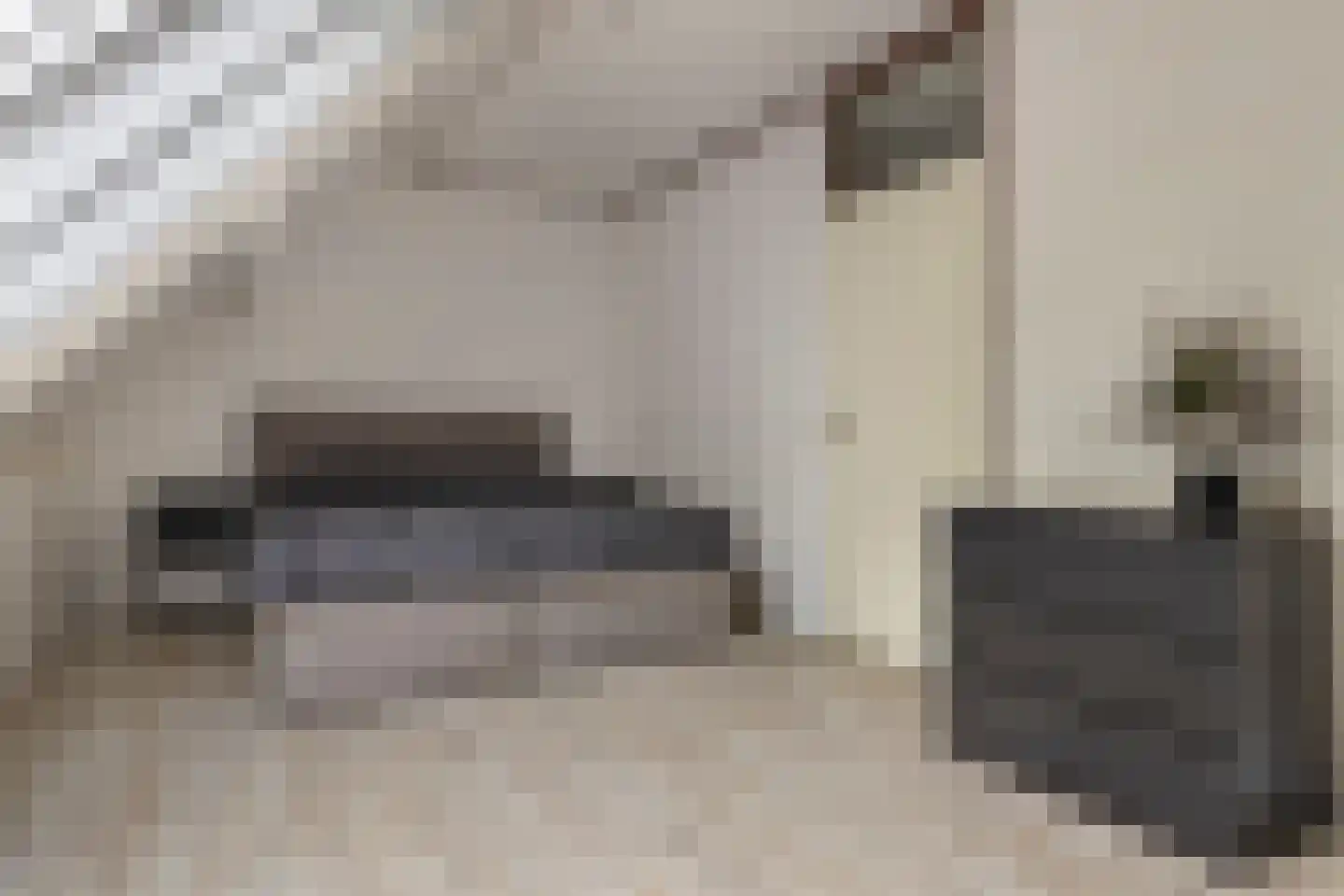 Mudaheerd 44 Groningen thumbnail 27